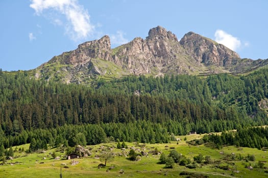 Swiss mountains