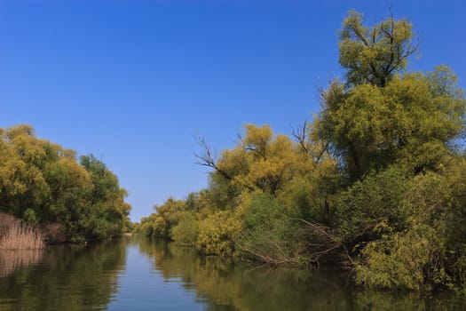 a small river channel in the Danube Delta