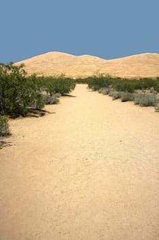 Desert path towards dunes of sand
