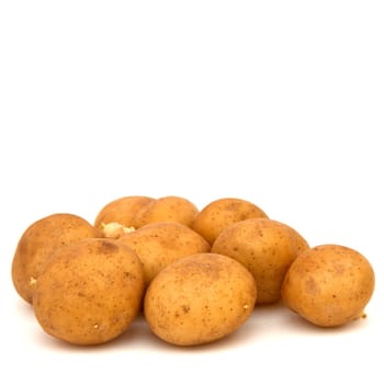 Square shot of potatoes partially sprouted on white