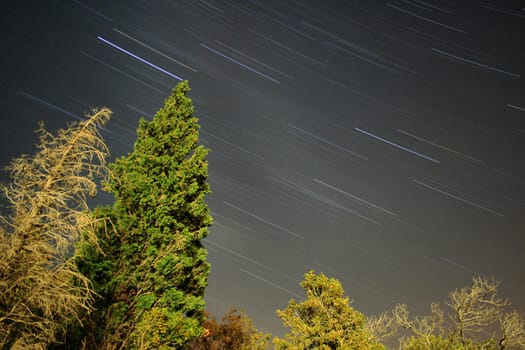 Star Trails