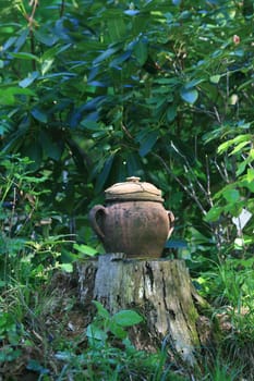 Clay pot