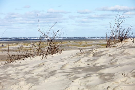 Sand dunes and beach by the sea - The sea can be seen in the background -Copy space