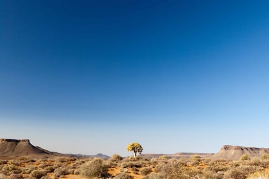 Dry landscape in South Africa - horizontal - text space
