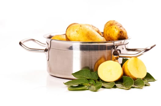 fresh potatoes in stainless steel saucepan