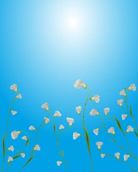 Floral card, white flowers composition in pastel tones, plenty of room for text