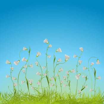 Graphic composition with beautiful white flowers and grass