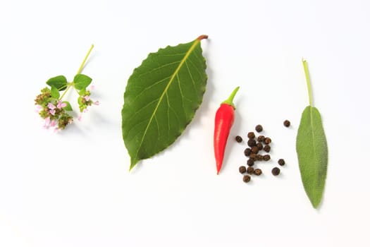 fresh garden herbs,isolated against white background