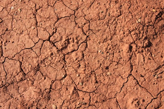 Dry red arable soil