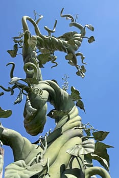 A beanstalk growing up into the blue sky