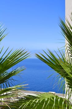 Dream view