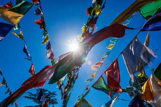 Buddhist prayer flags lungta with Om Mani Padme Hum Buddhist mantra prayer meaning Praise to the Jewel in the Lotus on kora around Tsuglagkhang complex. McLeod Ganj, Himachal Pradesh, India