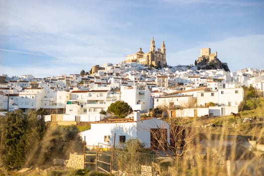 Panoramic of Olvera town, considered the gate of white towns route in the province of Cadiz, Spain.
