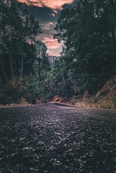 Asphalt road through autumn forest at sunrise