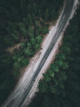 Aerial view of forest road with pine trees on both sides in autumn