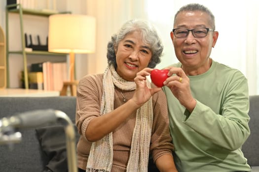 Positive senior couple holding a red heart shape as a symbol health care, love and insurance.