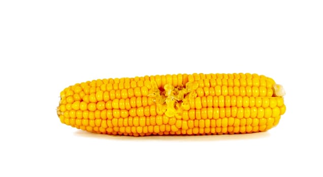 Cooked corn cob sweetcorn isolated on white