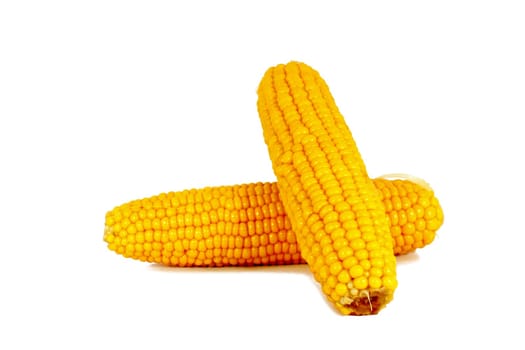 Cooked corn cob sweetcorn isolated on white