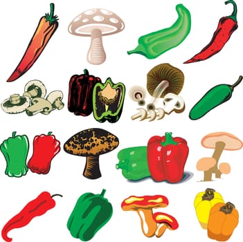 Vector Illustration of 16 different Mushrooms and Peppers