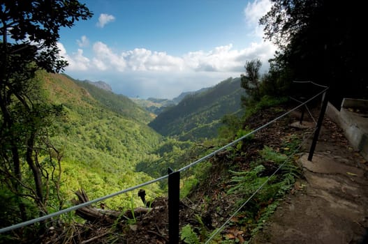 View of a levada from an hiking trail