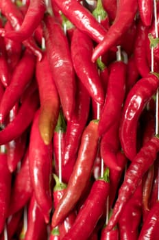 stack of chillies at the Funchal&#039 s Farmers Market