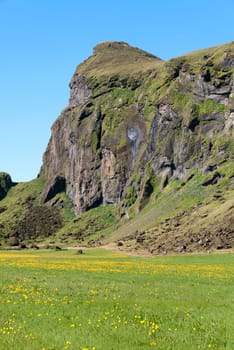 Rock hanging over a field of yellow flowers