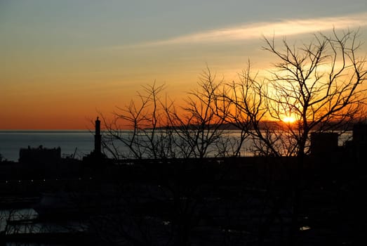 sunset seen through the branches of a tree