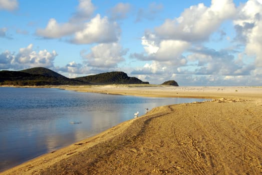 sandbar