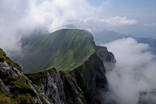 Mist