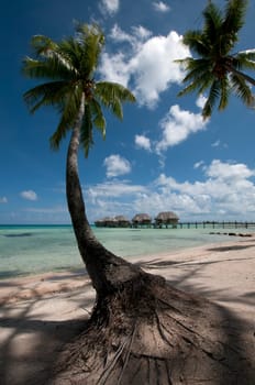Overwatervillas mit Palmenstrand
