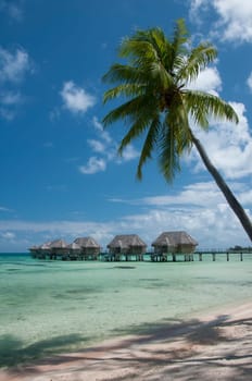 Overwatervillas mit Palmenstrand II