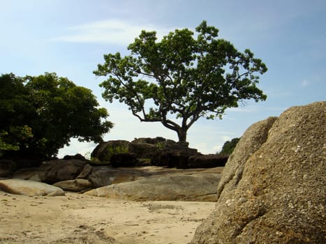 Langkawi Malaysia Beach Beach Sandy Beach Sand Rocks Cliffs Shore