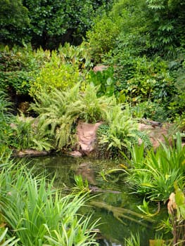 Grotto,Bay,Jungle Park,Flowers,Nature,Unspoiled,Green