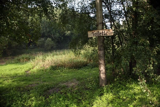 toilet,forest,nature,outdoors,note,tree,sign,meadow,symbol,summer,sun,excursion,irony,ironic