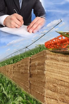 layout of straw bales, corn field, and combine with signing a purchase contract with a commercial farming