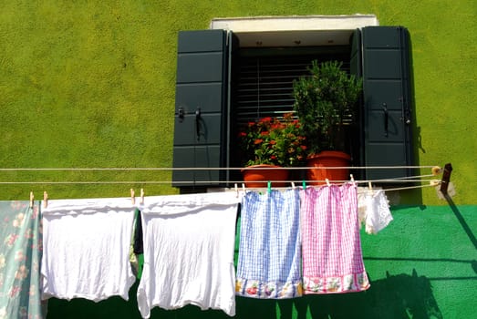 The laundry