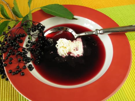 Elderberry soup