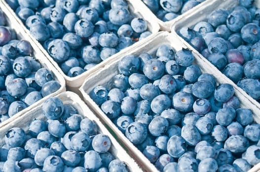 Blauberen