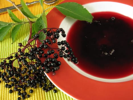 Elderberry soup