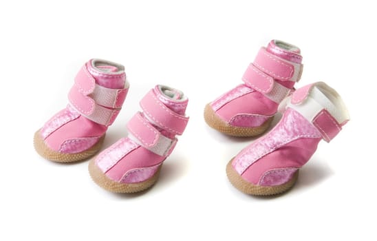 Pink dogs boots isolated on a white background