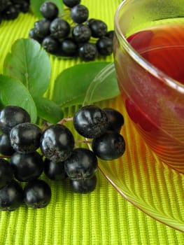 Aronia tea