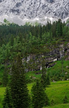 Nature on the Karwendelwand near Garmisch in Bavaria