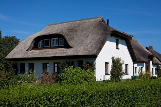 Reeddach House