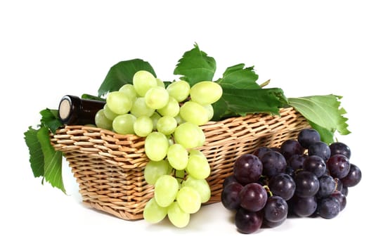 a bottle of red wine and fresh grapes against a white background