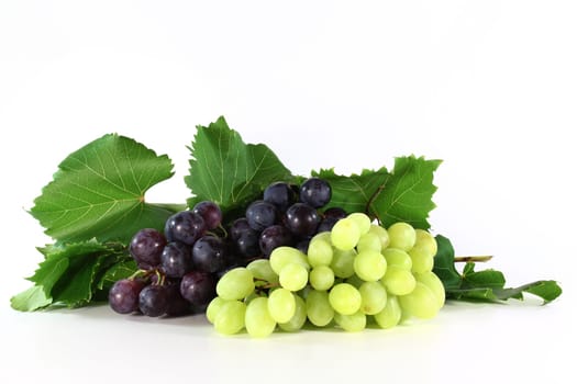 Fresh grapes and leaves against white background