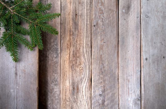 Twig over wooden background.With copy space