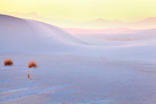 Image of the gypsum dunes and grasses at White Sands