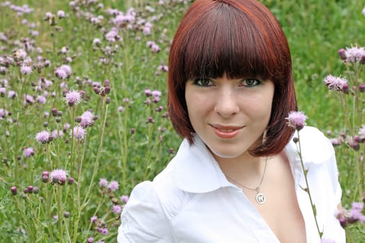 On the blooming summer meadow