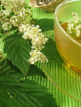 Tea with meadowsweet