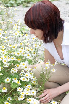 Health and well-being with chamomile